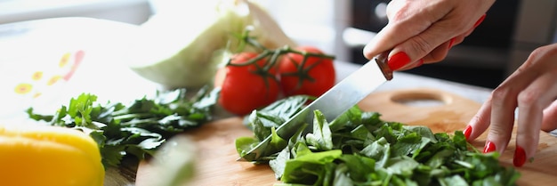 Female hands cut lettuce leaves with a kitchen knife on a cutting wooden board seasonal