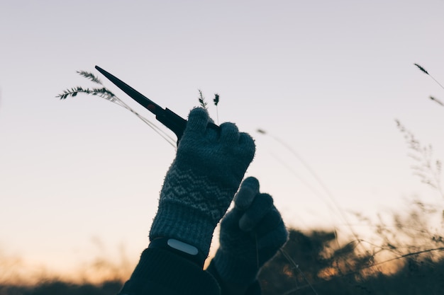 Female hands in gloves cut grass