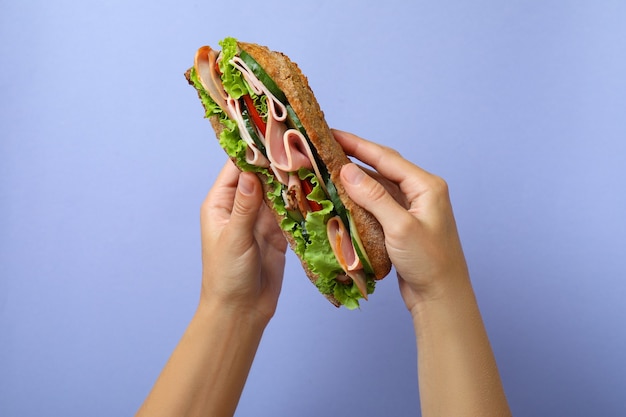 Female hands hold ciabatta sandwich on violet background