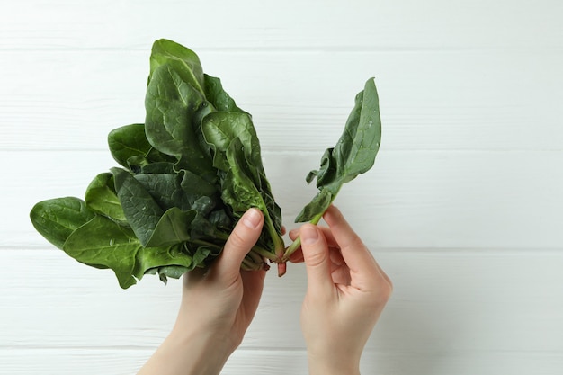 Female hands hold fresh spinach on white wooden