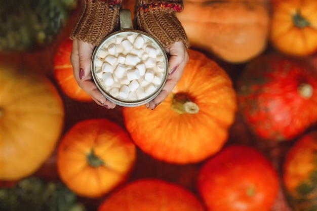 Female hands hold marshmallows over pumpkins. Autumn comfort.