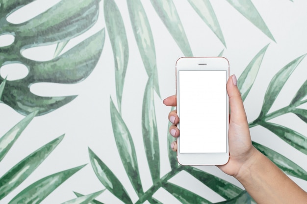 Female hands hold mobile phone with white screen leaves