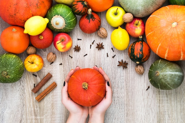 Female hands hold a pumpkin on a wooden background