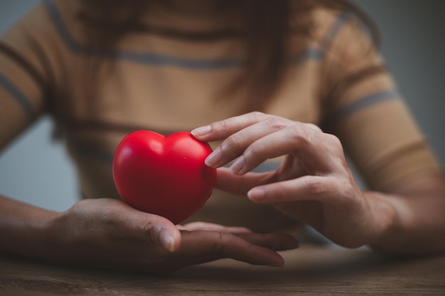 FeMale hands holding red heart, world mental health day and world heart day, Life and health insurance, CSR social responsibility, organ donation, Ã¢ÂÂconcept of love