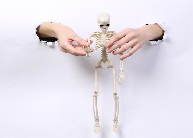 Female hands holding skeleton through torn hole white paper Halloween Concept art Minimalism