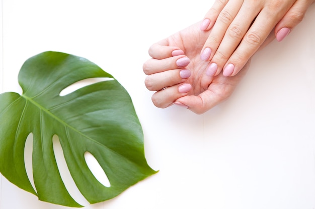 Female hands manicure cosmetic cream monstera leaf on a colored background manicure hands