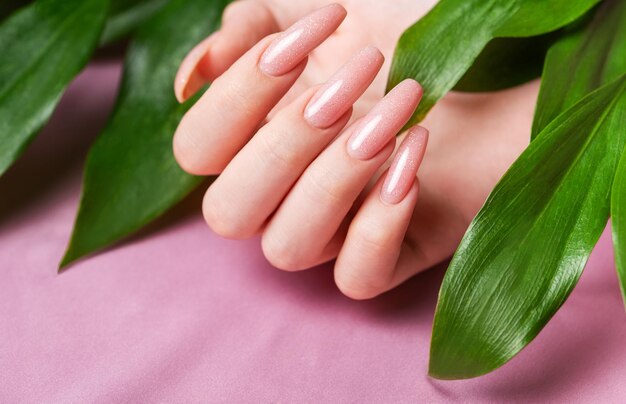 Female hands with pink nail design hold green leaves