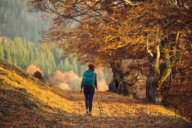 Female hiker on country road near mountain forest