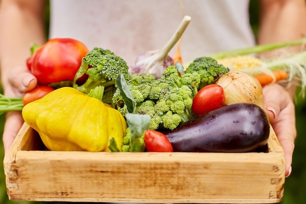 Female hold in hands wooden box with different fresh farm vegetables