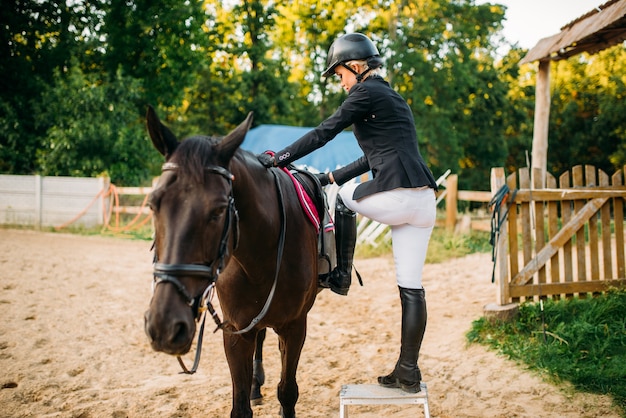 Female jockey and brown stallion, horseback riding. Equestrian sport, young woman and beautiful horse