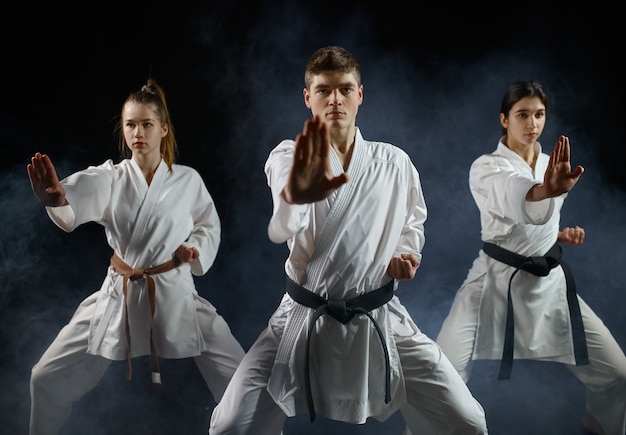 Female karate fighters, training with master in white kimono. Karatekas on workout, martial arts, fighting competition