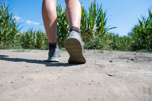 Female legs standing on the crossroads in the middle of cornfield