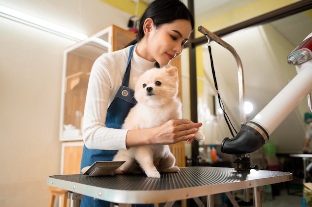 Female professional groomer blowing dry dog fur at pet spa grooming salon