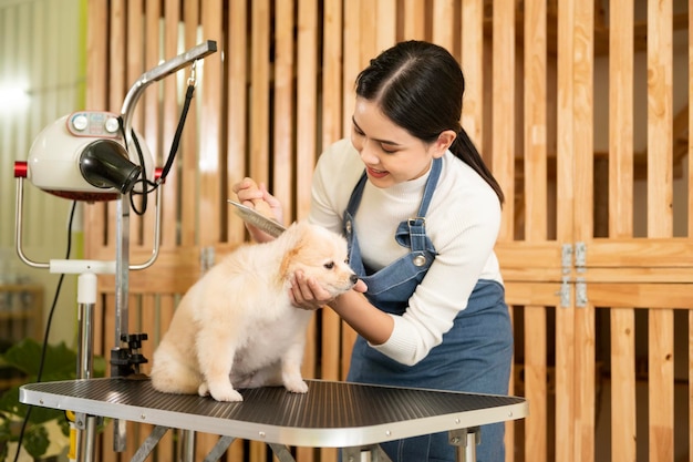 Female professional groomer combing dog fur at pet spa grooming salon