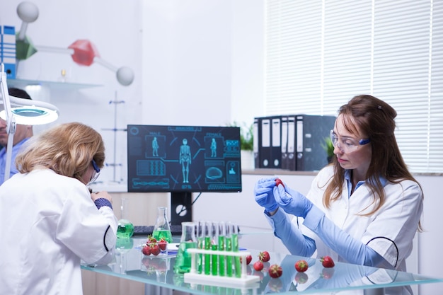 Female scientist looking looking carefully at a infected strawberries with virus. Food inspection.