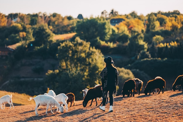 A female shepherd grazes sheep and goats on a meadow