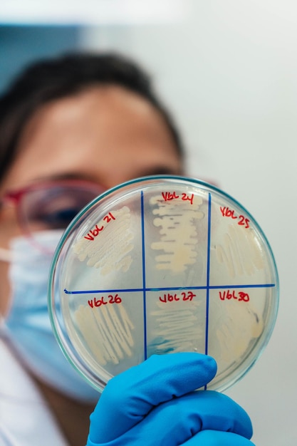 Female student with petri dishes