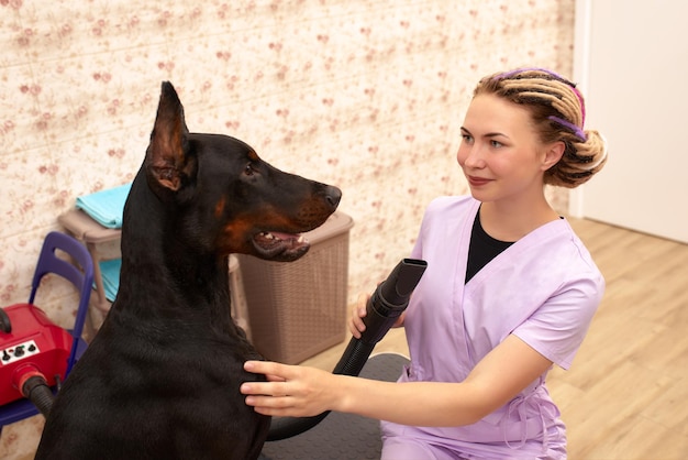 Female therapist working with dog in veterinary clinic