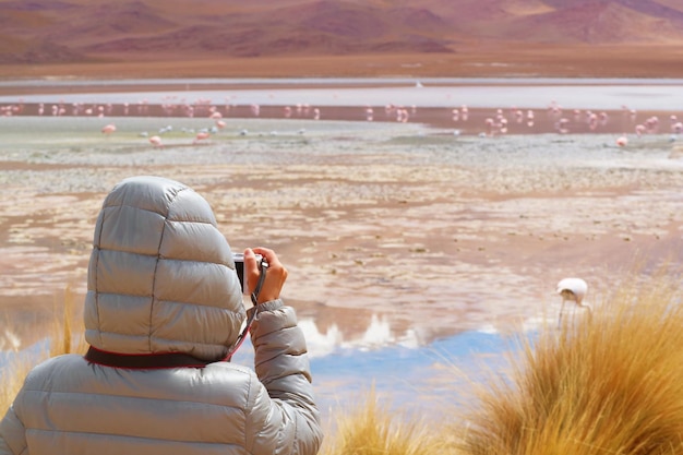 Female Traveler Taking Photos of Pink Flamingos grazing on Laguna Hedionda Saline Lake Bolivia