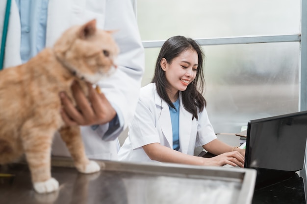 Female vet typing using laptop behind a male vet examining cats at the vet clinic