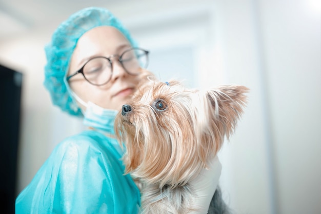 female vet in uniform with yorkshire terrier dog