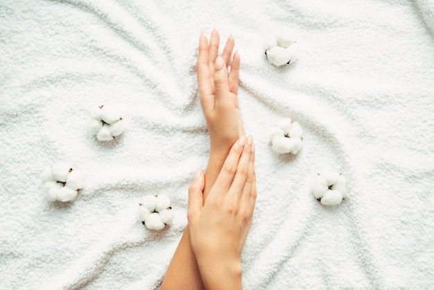 Female well-groomed hands with manicure, cotton flowers on a white wall