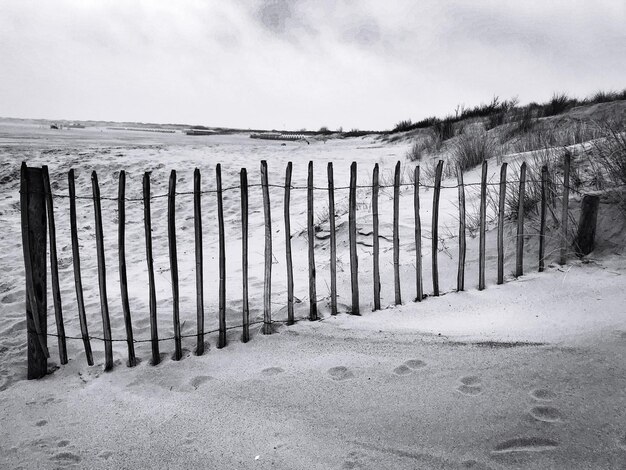 Photo fence on the beach