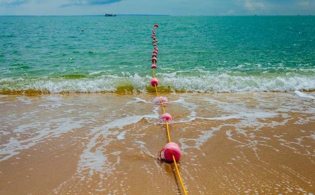 Fence floats going into the sea.