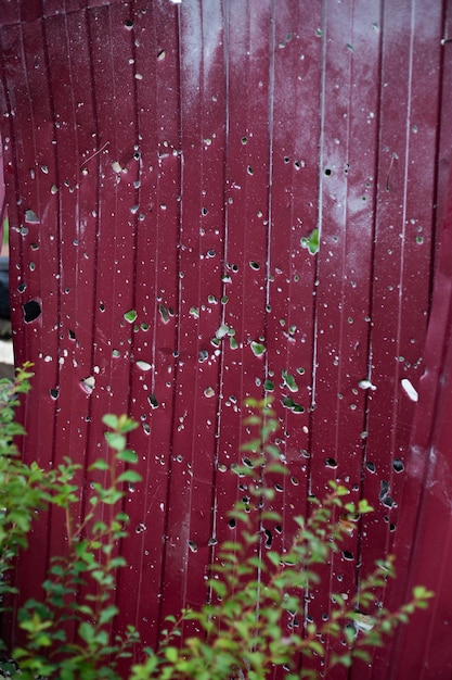 Fence near the house with bullet holes and charapnels after gunshots and fighting during the invasio