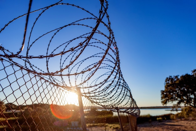 Fence with a barbed wire