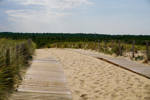 Fenced wood access beach pathway access sea coast in france