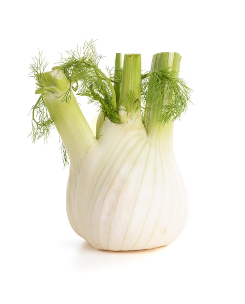 Fennel bulb isolated on a white background