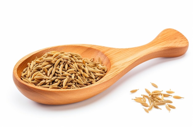 Fennel cumin caraway seeds in a wooden spoon isolated on white background