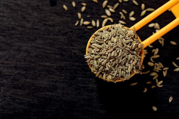 Fennel seeds in spoon