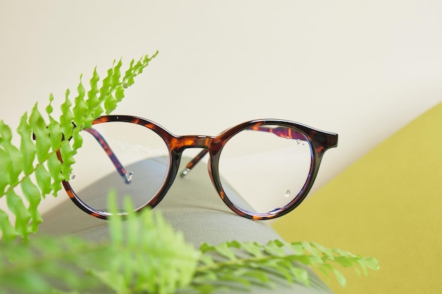 Fern and eye glasses on rolled green paper, vision test concept, beautiful stylish fashion accessories in optics store