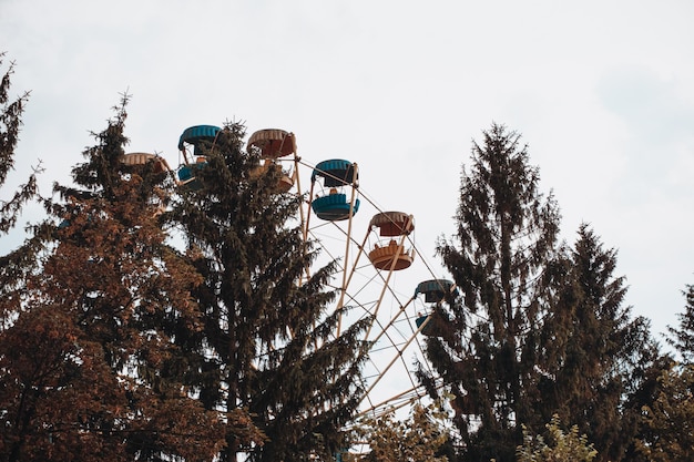 Ferris wheel attraction on the background of the sky among the trees