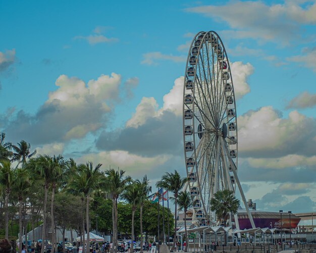 Photo a ferris wheel is in front of a beach and palm trees.