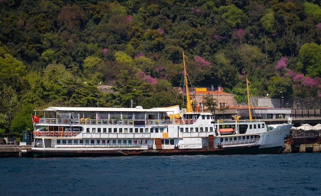 Ferry in Bosphorus Strait Istanbul