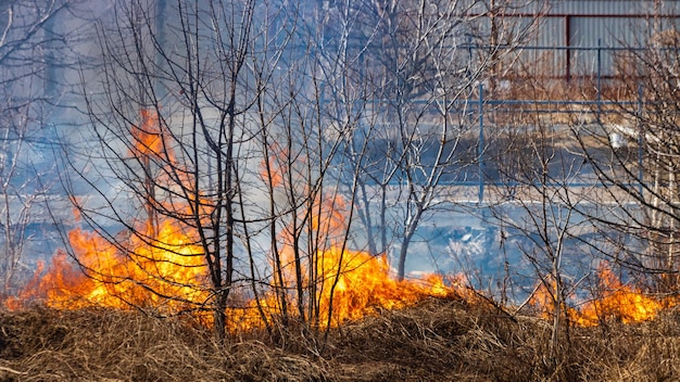 Fertile field on fire the theme of war or manmade disaster