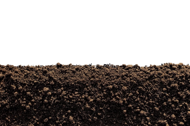 Fertile loam on a completely white background, Isolated soil.