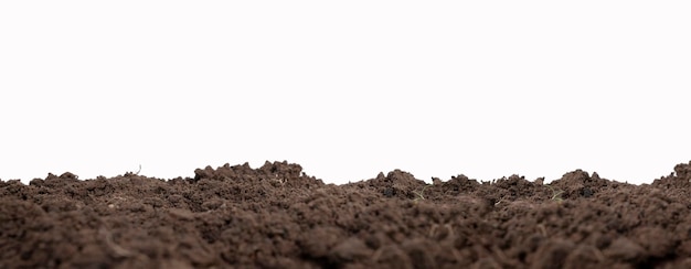 Fertile soil or isolated mound of soil on a white background