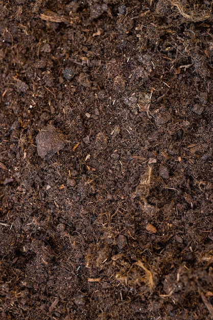 Fertile soil texture background seen from above top view Gardening or planting concept with copy s