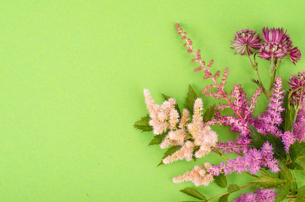 Festive background, postcard with lilac delicate flowers on green background, space for text. Studio Photo