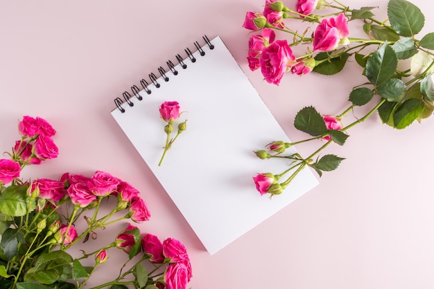 Festive composition of an open notebook with clean sheets and beautiful garden pink roses top view pink background space for text