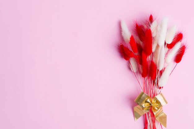 Festive corner frame with dry soft autumn red and white flowers Lagurus Ovatus grass on pink.