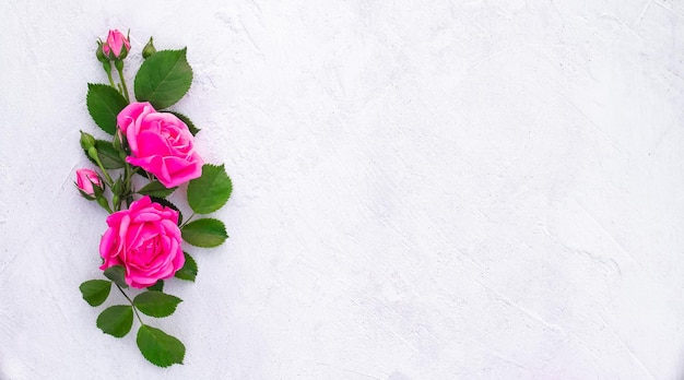 Festive flower composition on a light background Overhead view copy space