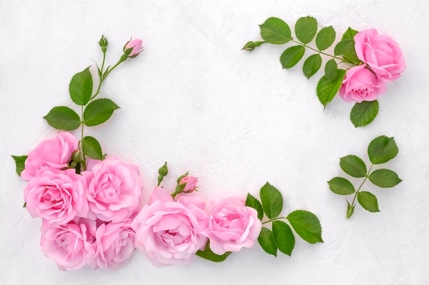 Festive flower composition on the white background Overhead view