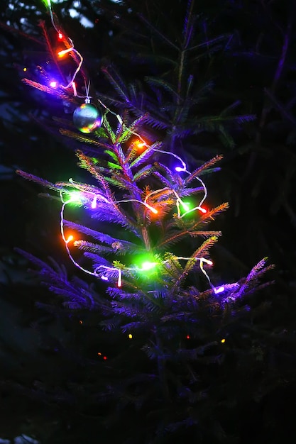 Festive New Year background with blurred colorful lights on decorated fir tree branches outdoors.