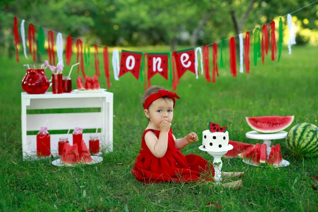 A festive picnic for the first birthday with decor garland lemonades and watermelons