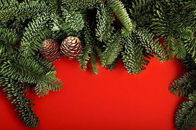 Festive red horizontal background with border from Christmas tree branches and cones